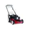 Toro Recycler High Wheel 20378 22 In. 149 Cc Gas Self-Propelled Lawn Mower