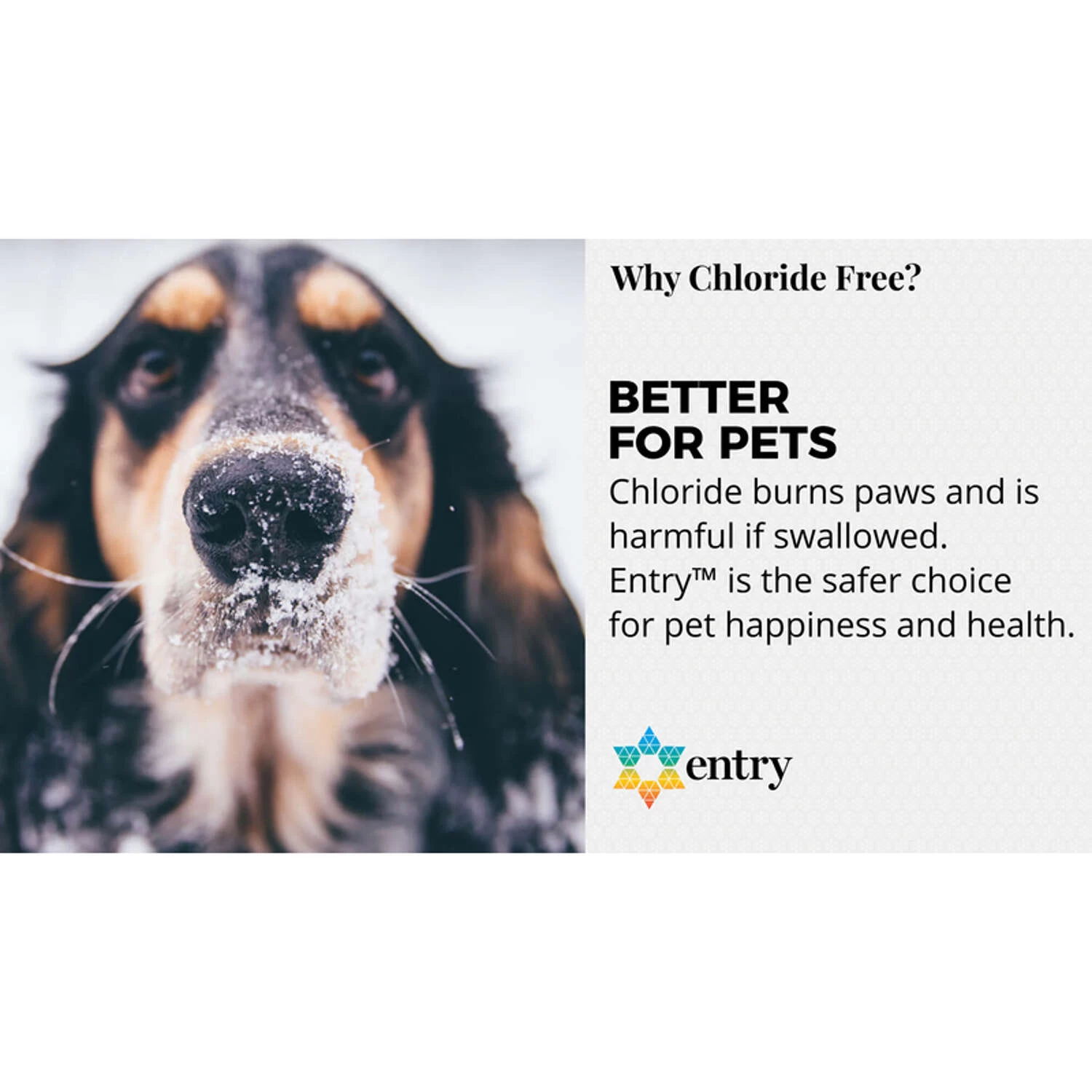 Branch Creek Entry Blended Pet Friendly Liquid Ice Melt 2.5 Gal 3 Branch Creek Entry Blended Pet Friendly Liquid Ice Melt 2.5 Gal - Image 3