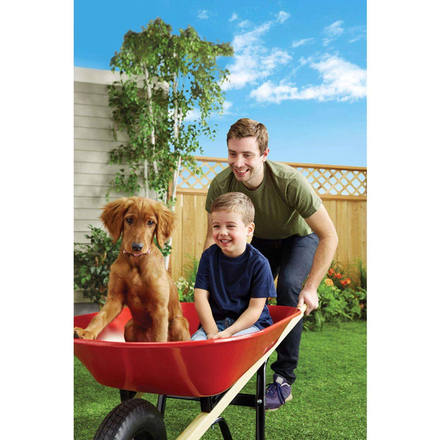 Ace Steel Residential Wheelbarrow 4 Ace Steel Residential Wheelbarrow - Image 4