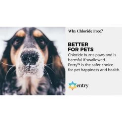 Branch Creek Entry Blended Pet Friendly Liquid Ice Melt 1 Gal -Gardens and Horticulture 400580a1 b8a9 4e14 a4cf e3f24ca38974