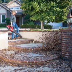 Toro 51821 110 Mph 565 CFM 60 V Battery Handheld Leaf Blower Kit (Battery & Charger) -Gardens and Horticulture 608abe32 516c 4bbf aa9b ce73a6a58a6f