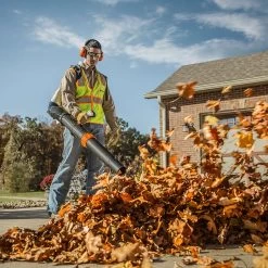 STIHL BR 700 197 Mph 912 CFM Gas Backpack Leaf Blower -Gardens and Horticulture 6ce0008a 24ea 440a bbe1 e261976d2020