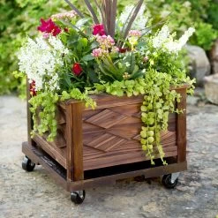 DeVault Enterprises High-Density Polyethylene Plant Dolly 500 Lb. Cap. -Gardens and Horticulture 78154269 84b9 4a39 b8c1 6fc14800ef14