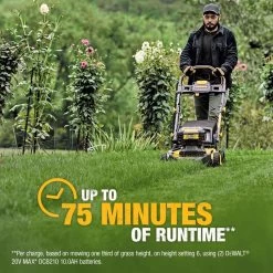 DeWalt 20V MAX DCMWP233U2 21 In. 20 V Battery Lawn Mower Kit (Battery & Charger) -Gardens and Horticulture 91385a64 02e8 4a01 a962 52f58678c1a9