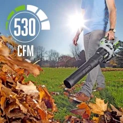 EGO Power+ LB5302 110 Mph 530 CFM 56 V Battery Handheld Leaf Blower Kit (Battery & Charger) W/ 2.5 AH BATTERY 11 EGO Power+ LB5302 110 Mph 530 CFM 56 V Battery Handheld Leaf Blower Kit (Battery & Charger) W/ 2.5 AH BATTERY -Gardens and Horticulture 979f7df4 dea0 4145 9d34 67a451499ff9