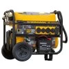 Firman Performance Series 8000 W 120/240 V Gasoline Portable Generator