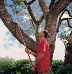 Corona 12 Ft. Steel Curved Tree Pruner -Gardens and Horticulture a3cd51ef 6d0c 4187 a98f fd10842338fd