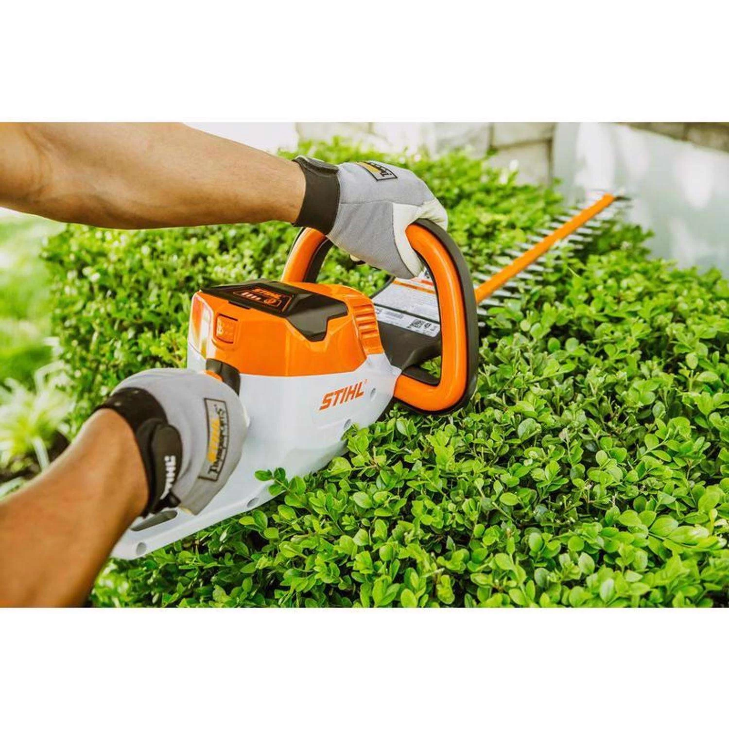 STIHL HSA 56 18 In. 36 V Battery Hedge Trimmer Kit (Battery & Charger) 7 STIHL HSA 56 18 In. 36 V Battery Hedge Trimmer Kit (Battery & Charger) - Image 7
