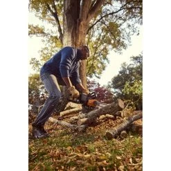 Worx 14 In. 40 V Battery Chainsaw Kit (Battery & Charger) -Gardens and Horticulture b4d1dec3 0683 448f 99db b13e89ed785b