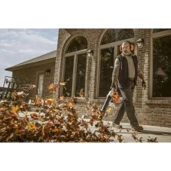 STIHL BG 56 C-E 134 Mph 412 CFM Gas Handheld Leaf Blower 12 STIHL BG 56 C-E 134 Mph 412 CFM Gas Handheld Leaf Blower -Gardens and Horticulture c3e18a30 dae1 4624 872b 0cde5e24f07c