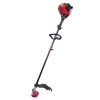 Troy-Bilt 41BD304S766 17 In. Gas String Trimmer