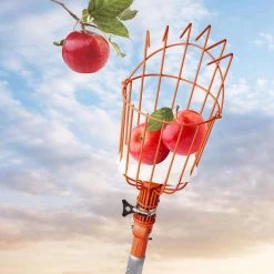 EZ Smart Tools 13 In. Steel Fruit Picker 12 EZ Smart Tools 13 In. Steel Fruit Picker -Gardens and Horticulture ebf70406 0ab2 48be 9de7 c8b8aab07782